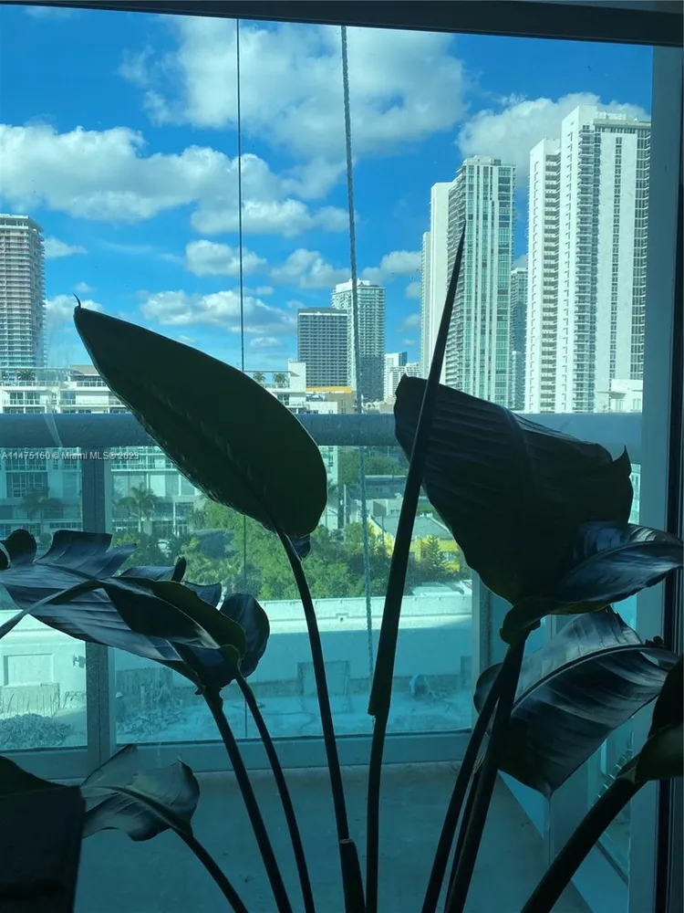 Gallery Art #808 image #6