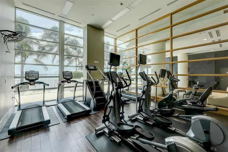 Onyx #1001 image #31