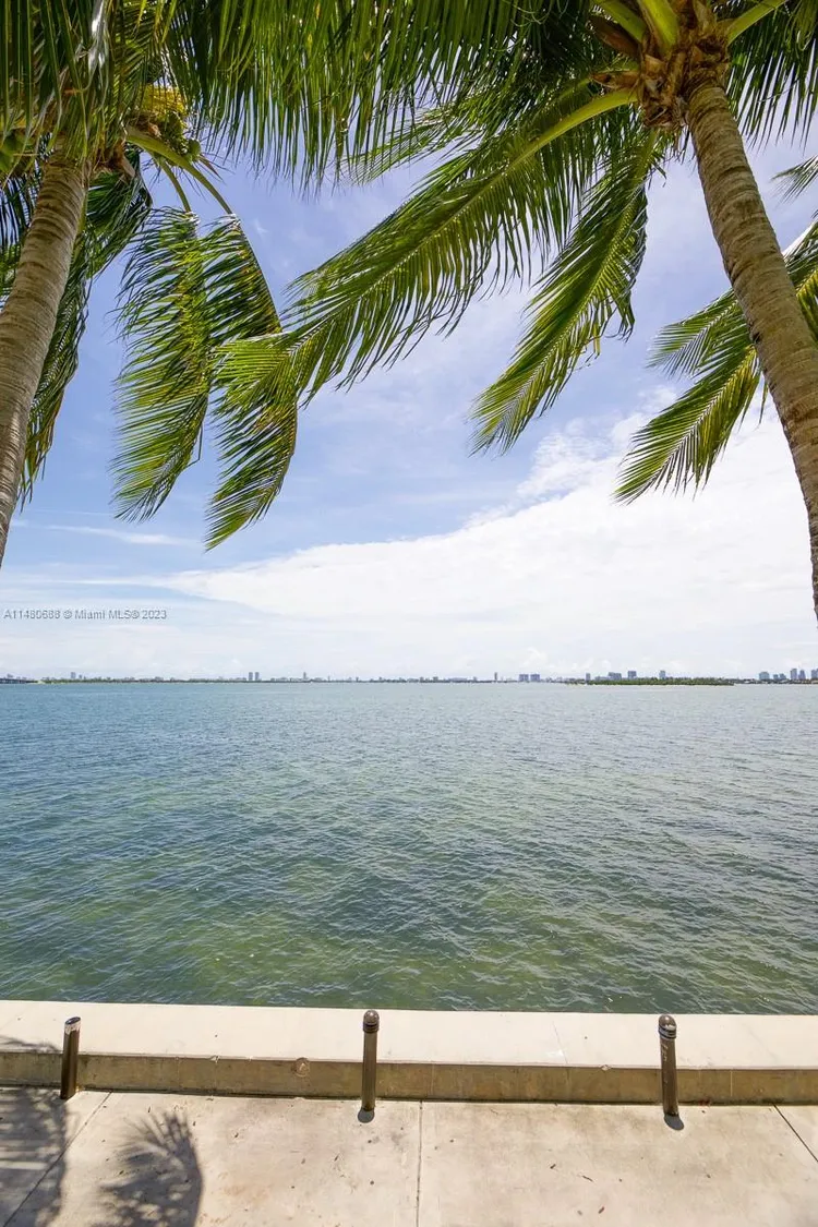 Onyx #1001 image #45