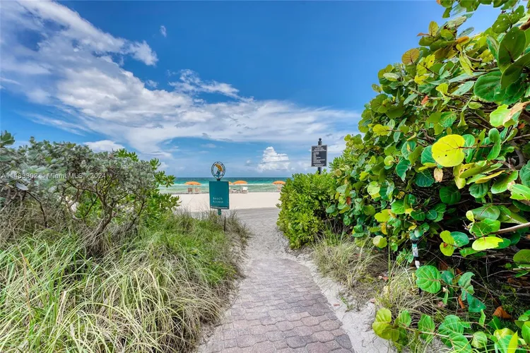 Sayan #2601 image #58