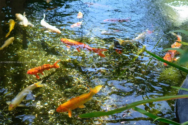 Towers of Key Biscayne #A1104 image #30