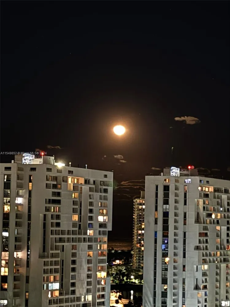 Coronado #2133 image #32