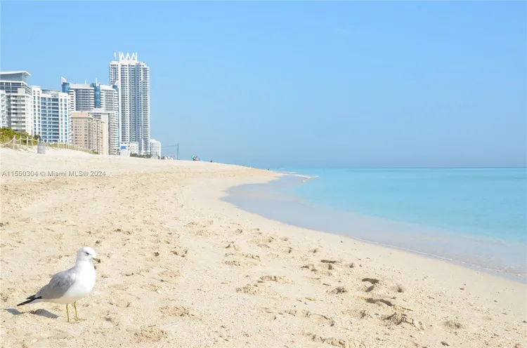 Castle Beach Club #M14 image #14