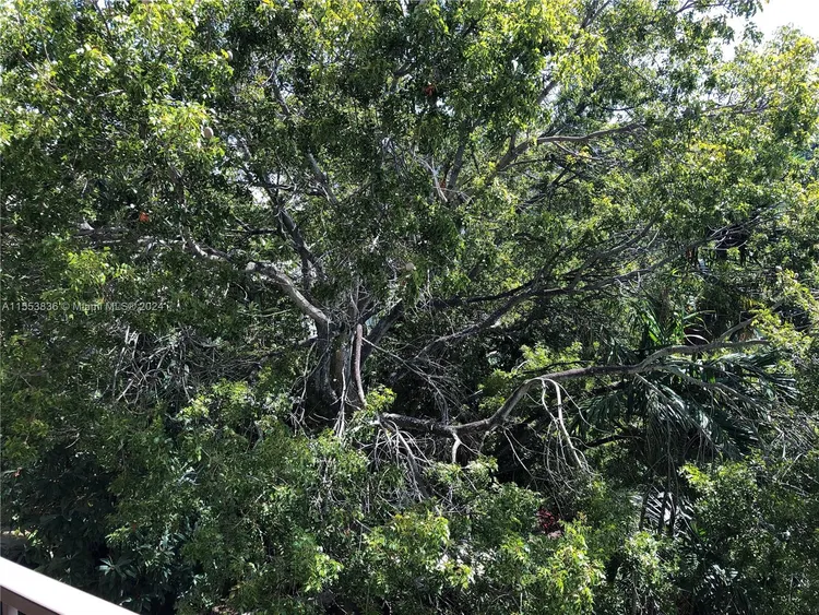 Key Colony IV Botanica #363 image #15