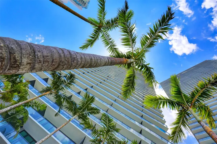 Gran Paraiso #3801 image #36