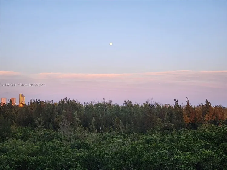 One Fifty One At Biscayne #706 image #49