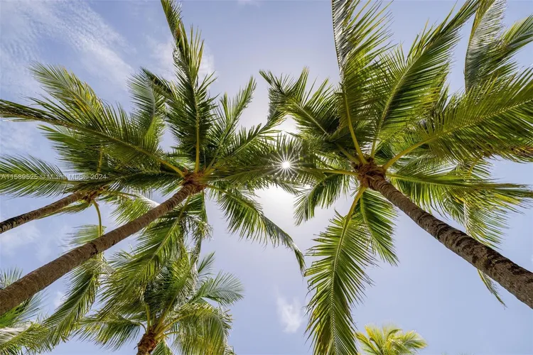 The Tiffany #1506 image #19