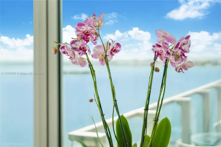 Biscayne Beach #1507 image #34