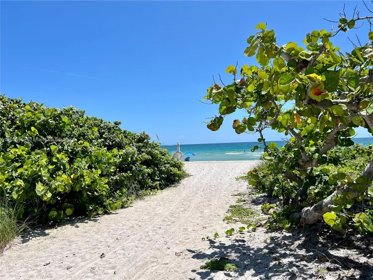 Mirage #12C image #50