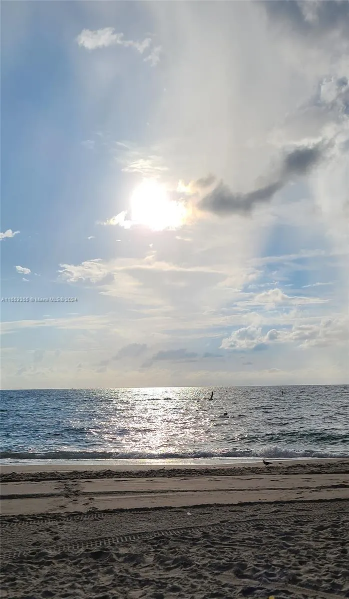 Royal Embassy #9C image #24