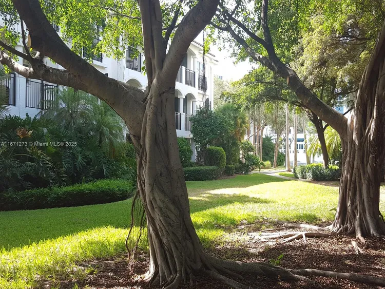 Village by the Bay #10103 image #34