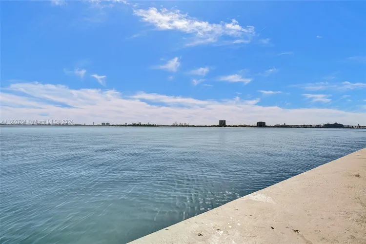 Onyx #2303 image #49