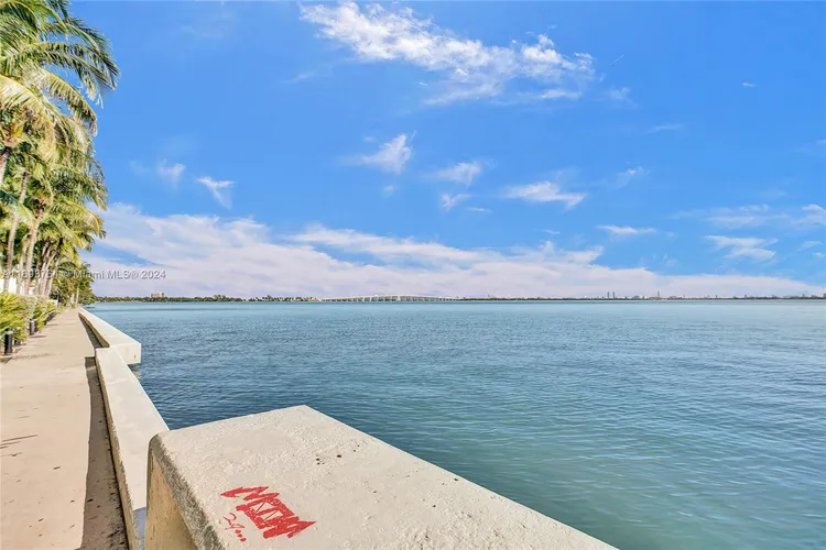 Onyx #2303 image #50