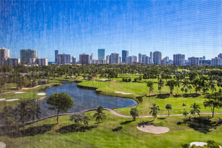 Coronado #1236 image #13