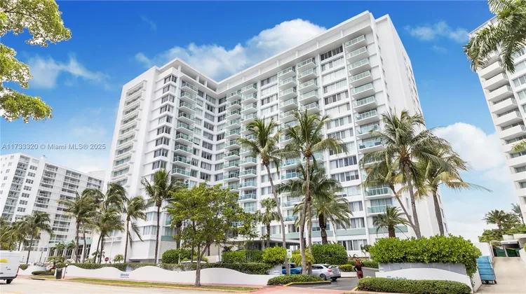 Mirador TH #2 image #40