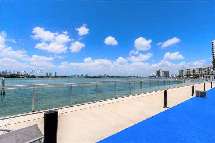 Mirador TH #2 image #46