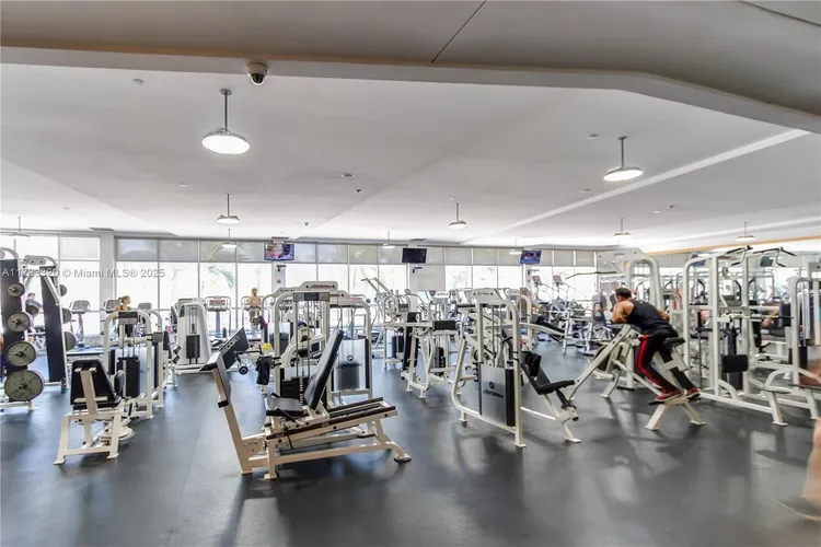 Mirador TH #2 image #49