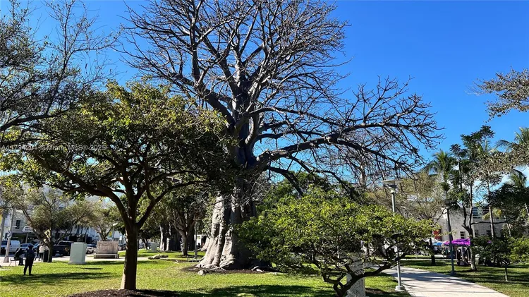 W South Beach #1102 image #30