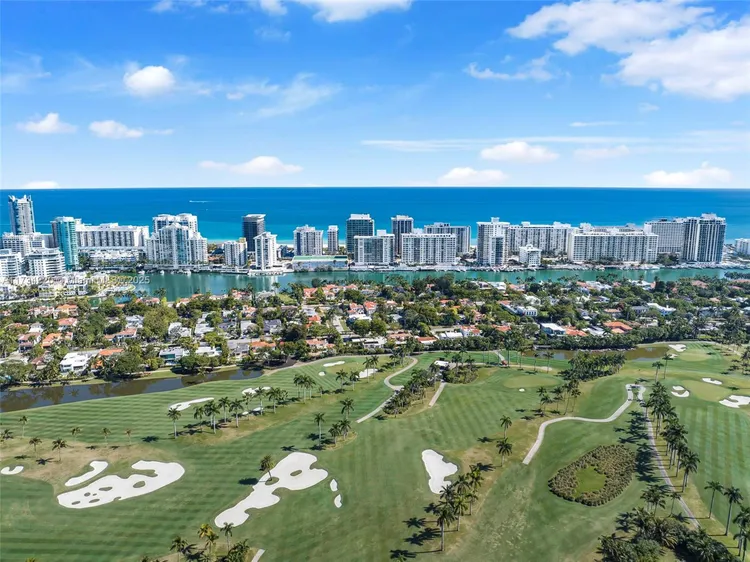 Royal Embassy #5B image #65