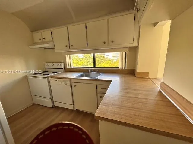 Plaza of the Americas #502 image #13