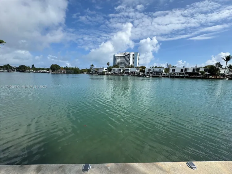 Iris on the Bay #107 image #32