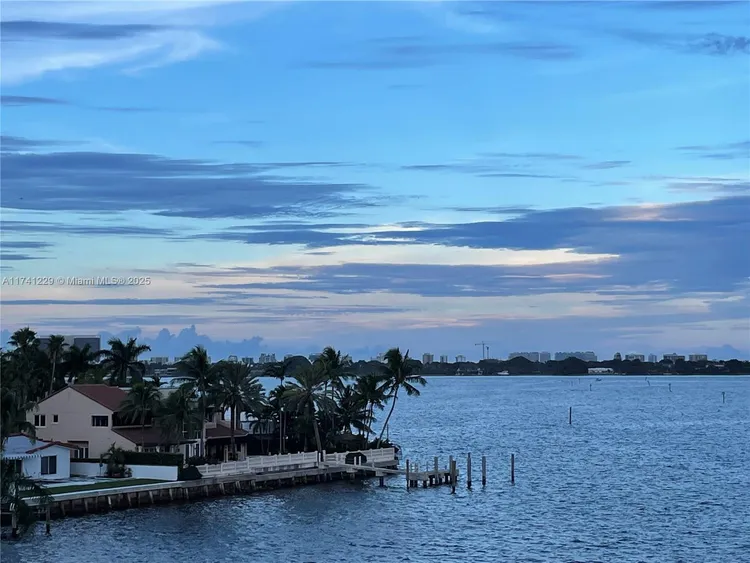 Cricket Club Miami #503 image #46