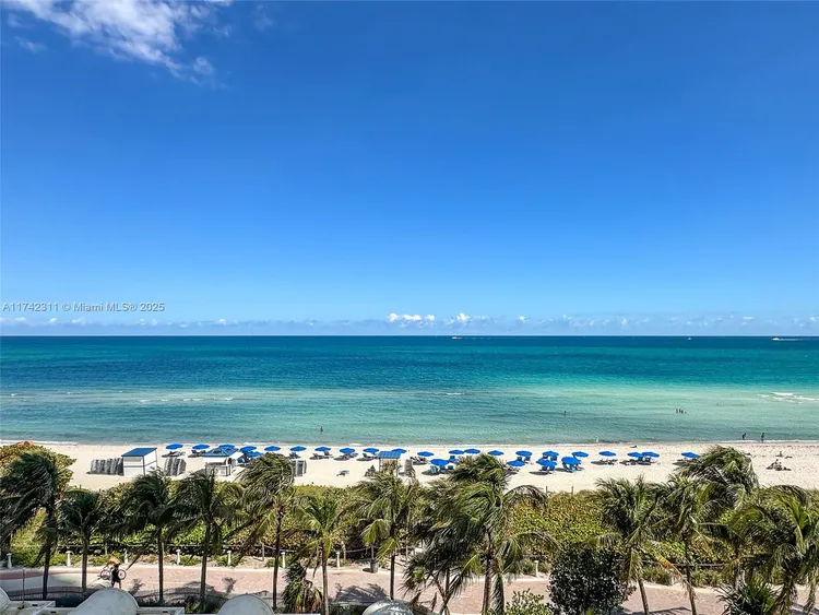 Akoya #4311 image #33