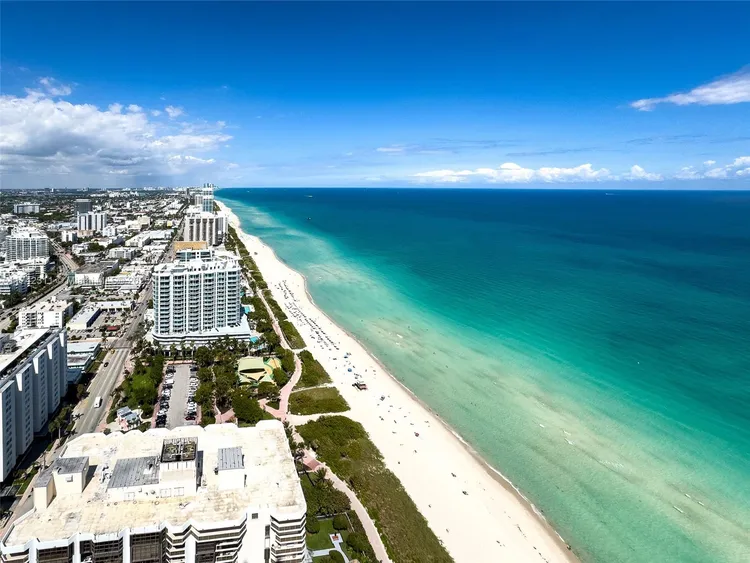 Akoya #4311 image #6