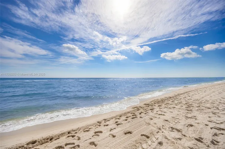 Ocean Blue #703 image #39
