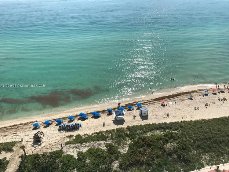 Akoya #1802 image #20