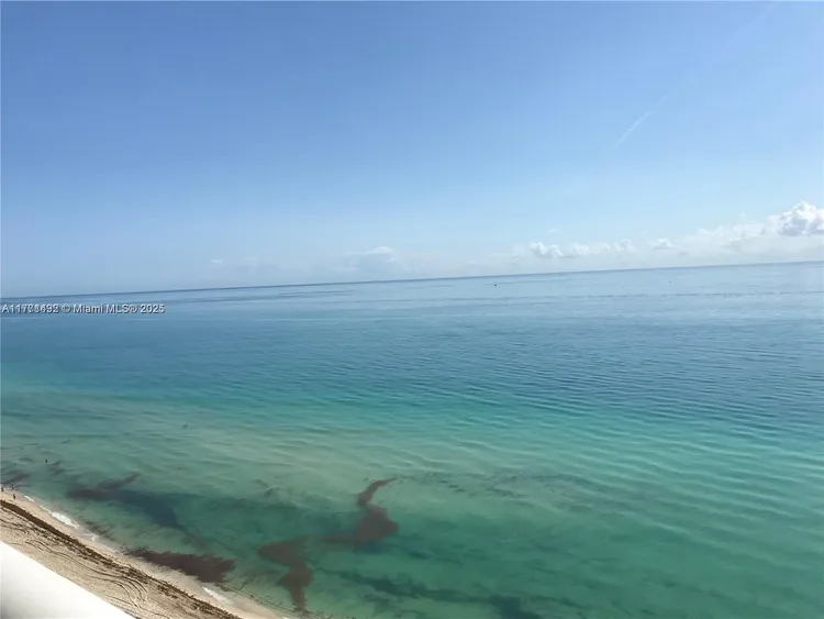 Akoya #1802 image #22