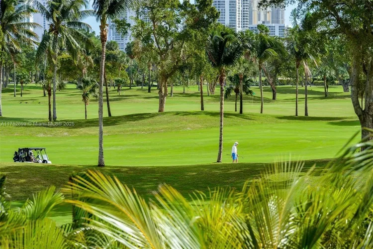 Coronado #1430 image #23