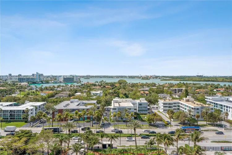 Bellini #904 image #26