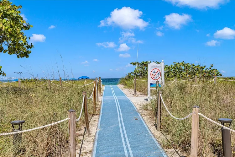 The Waves #910 image #33