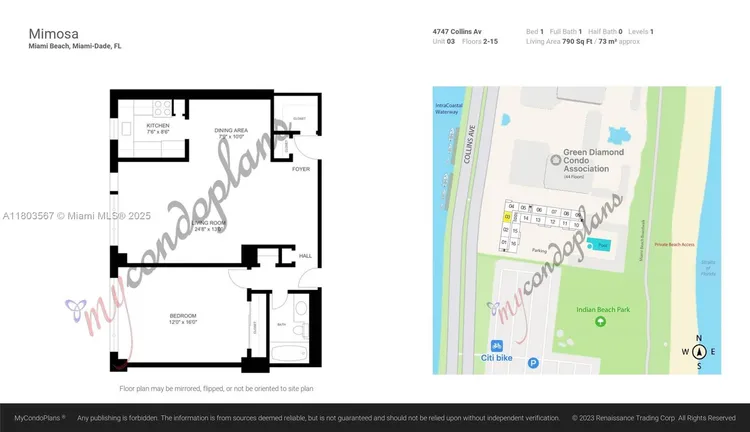 Mimosa #303 image #14