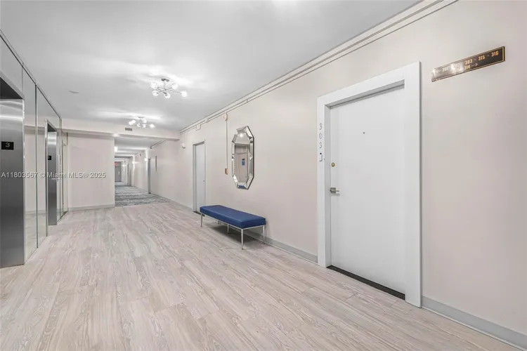 Mimosa #303 image #15