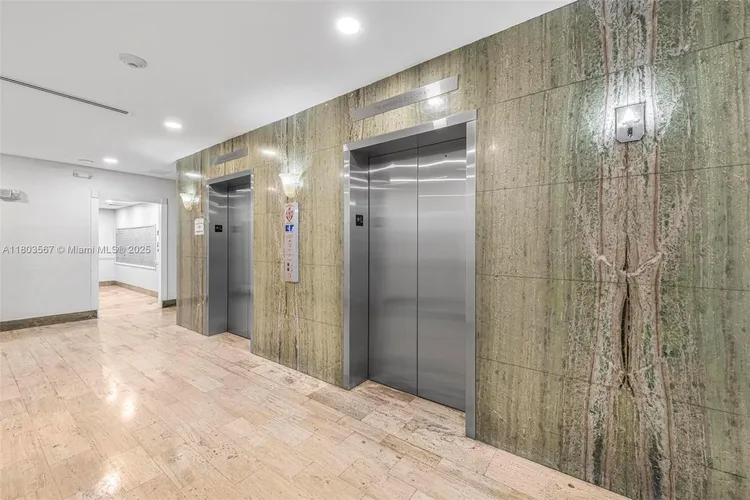 Mimosa #303 image #16