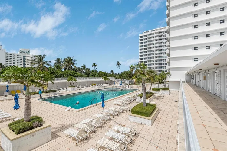 Mimosa #303 image #19