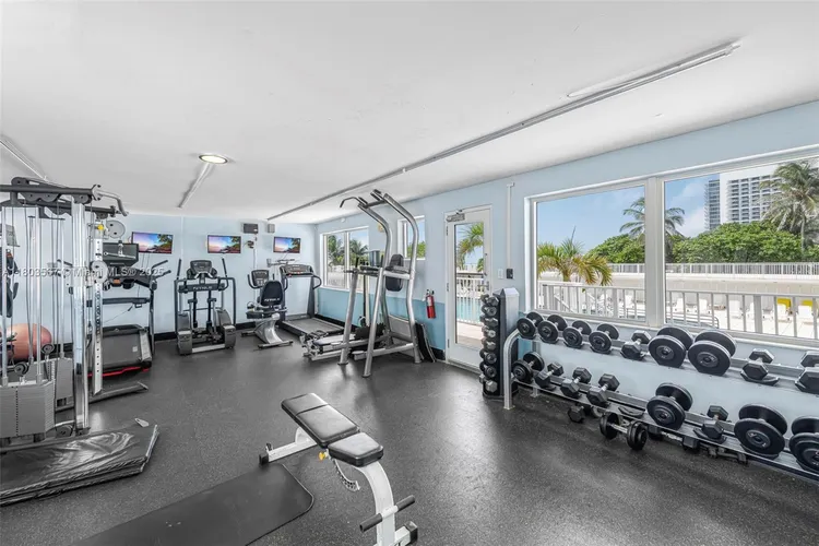 Mimosa #303 image #23