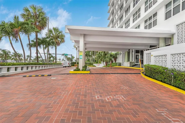 Mimosa #303 image #28