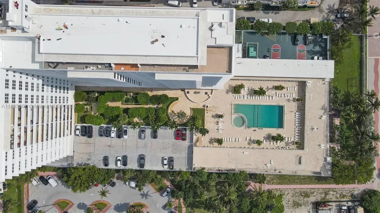 Mimosa #303 image #29