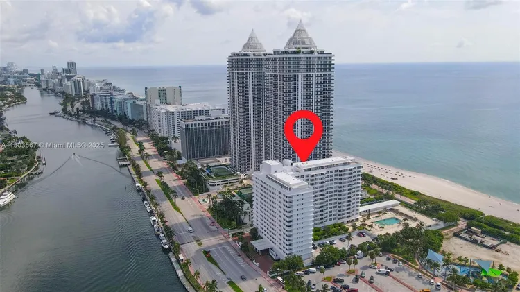 Mimosa #303 image #30