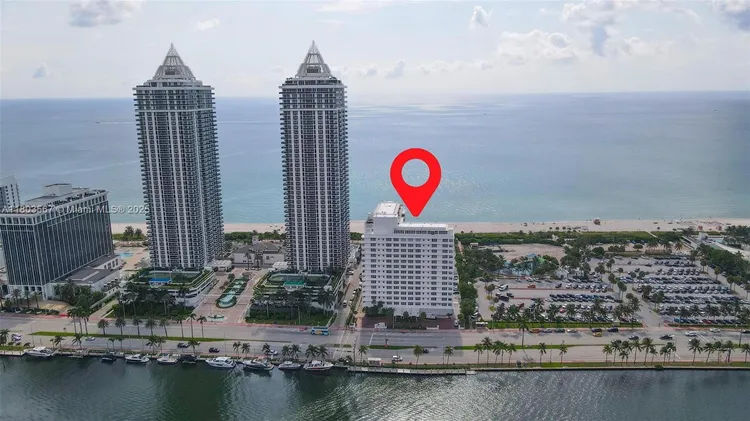 Mimosa #303 image #31