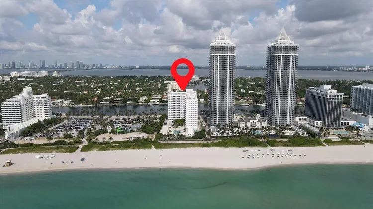 Mimosa #303 image #32