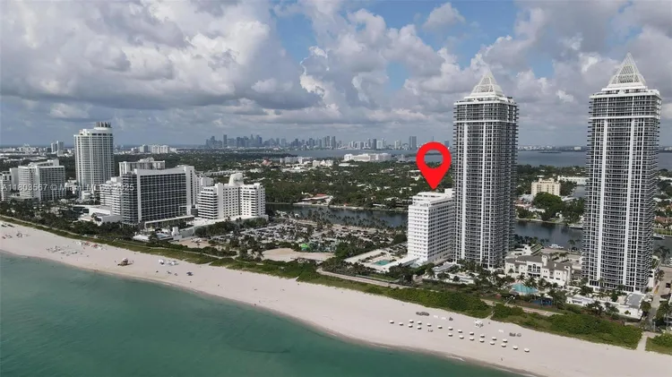 Mimosa #303 image #33