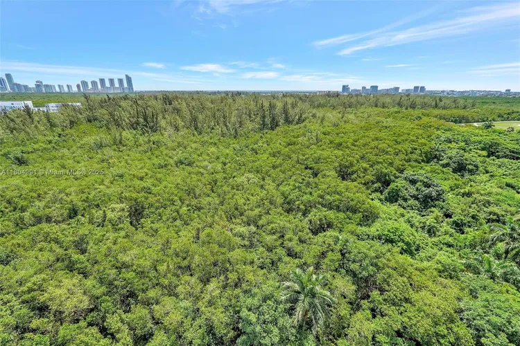 One Fifty One At Biscayne #1406 image #37