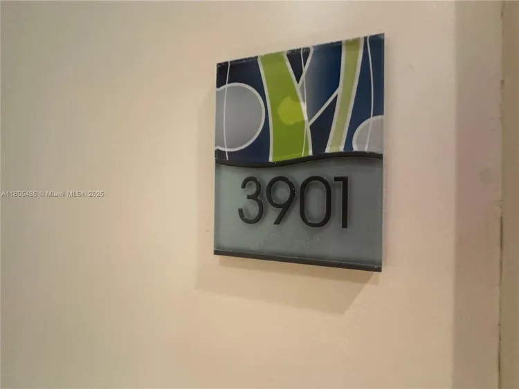 Latitude #3901 image #29