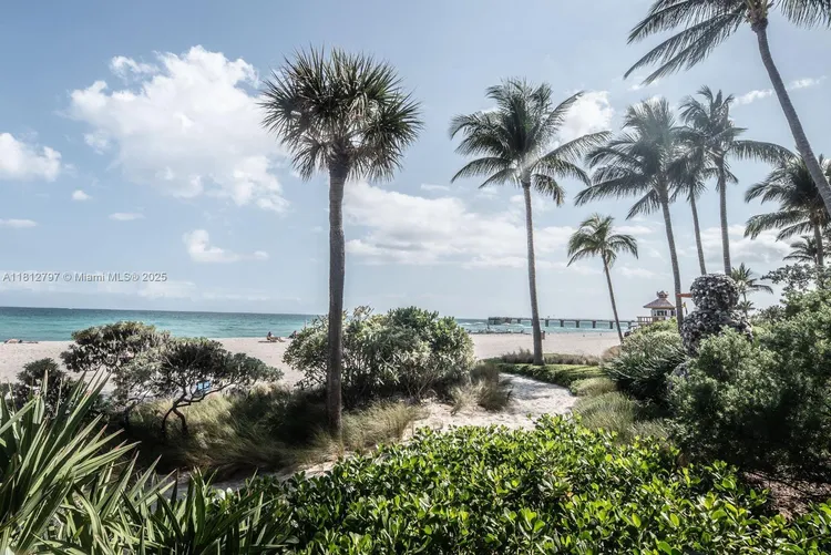 Plaza of the Americas #207 image #23