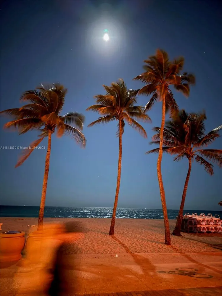 Costa Hollywood #N529 image #34