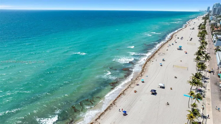 Costa Hollywood #N529 image #41